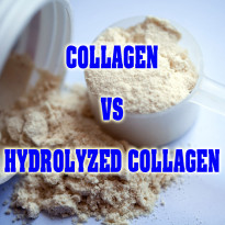 Collagen và Collagen thủy phân là gì ?